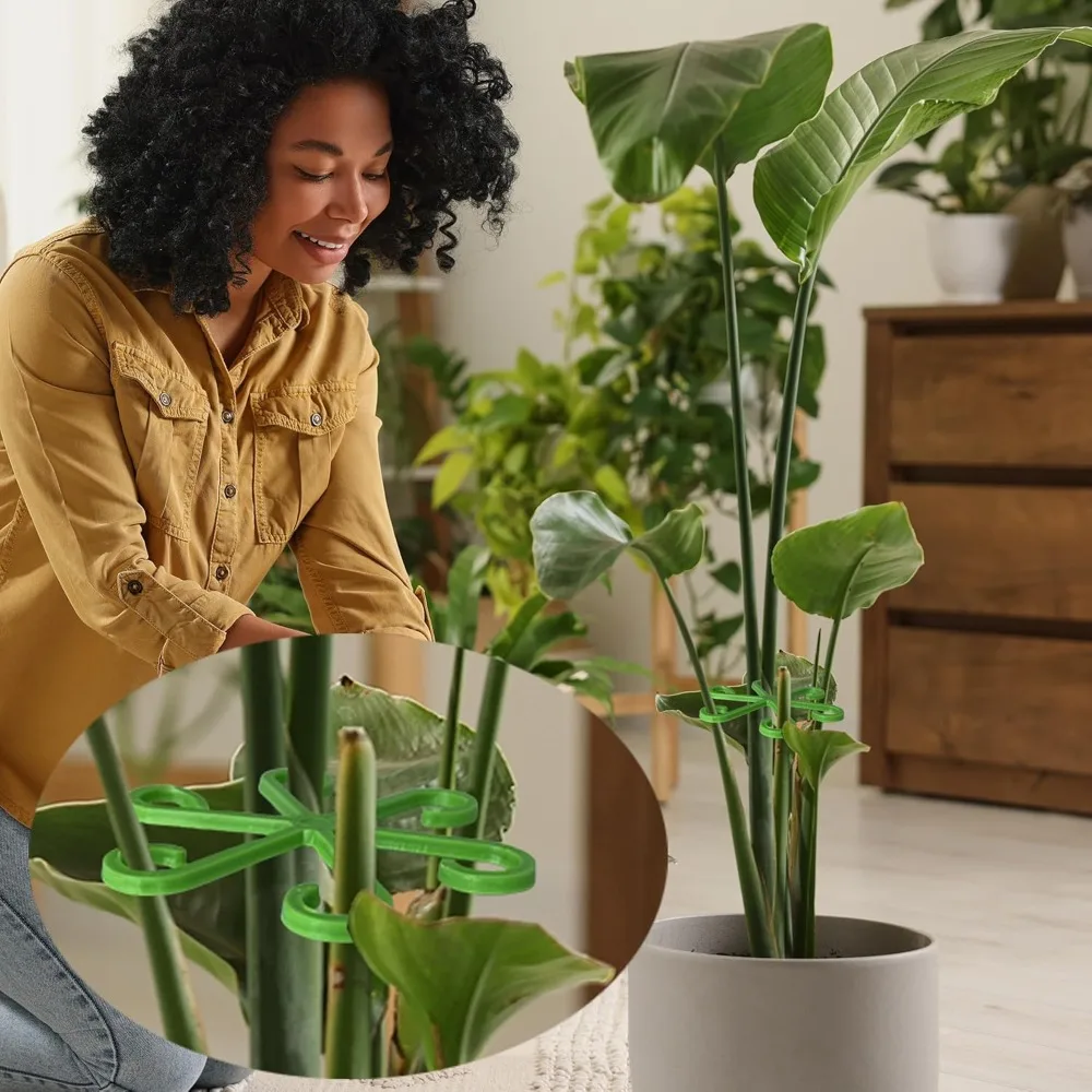 Flower Plant Stem Support Stak - Plant Support Stake 评论和价格