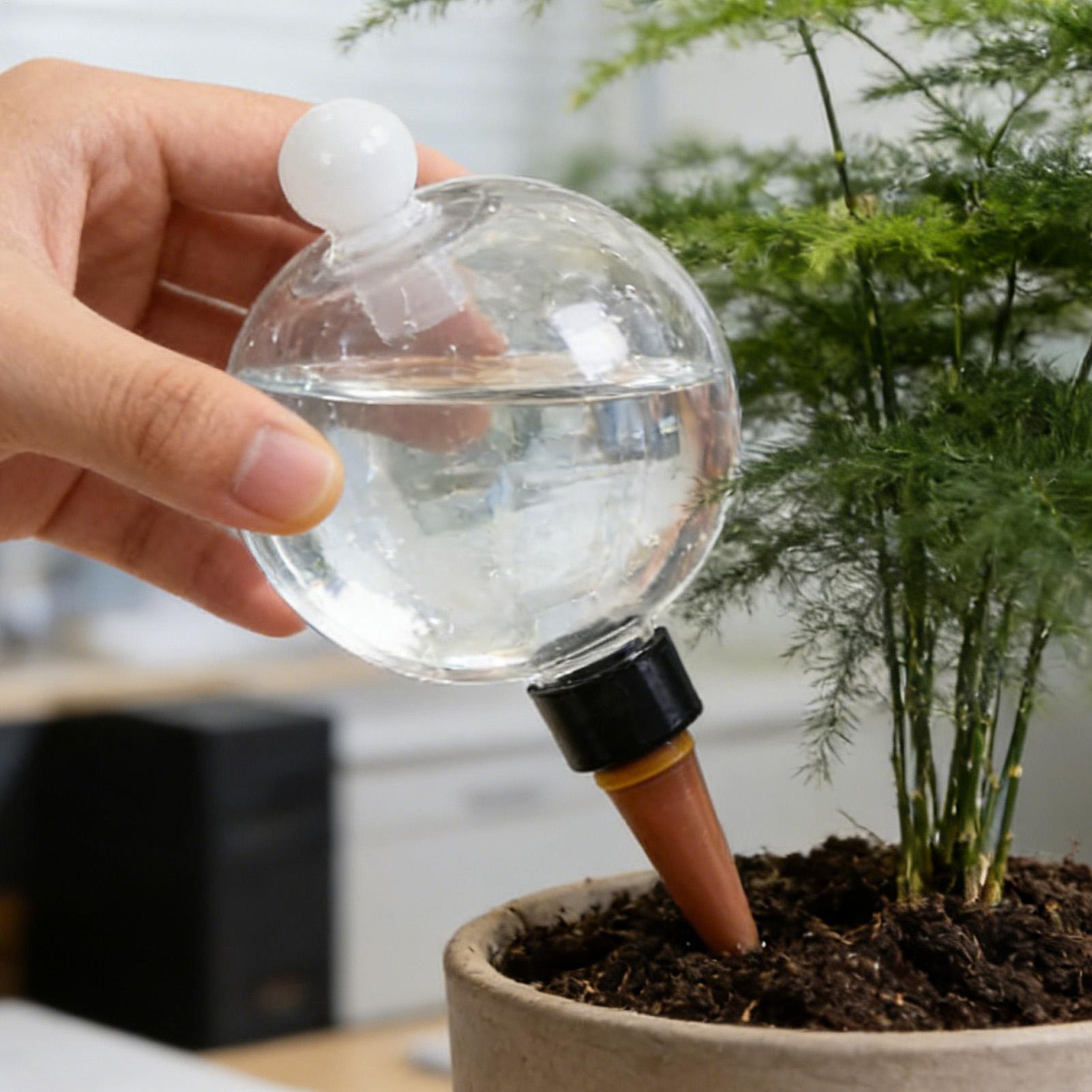 Plant Watering Bulbs 4pcs 500m - Pothos 评论和价格