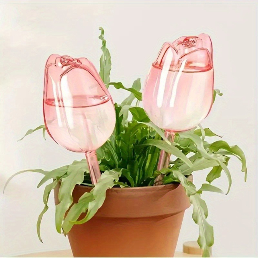 Transparent Thick PET Tulip Sh - Pothos 评论和价格