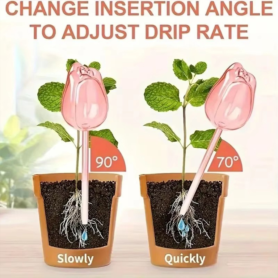 Transparent Thick PET Tulip Sh - Pothos 评论和价格