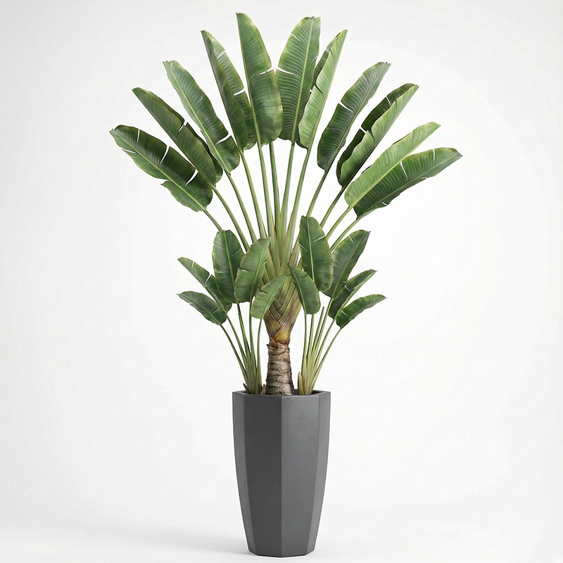 High-Simulation Plastic Fiddle - Fiddle Leaf Fig 评论和价格