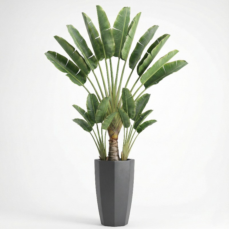 High-Simulation Plastic Fiddle - Fiddle Leaf Fig 评论和价格