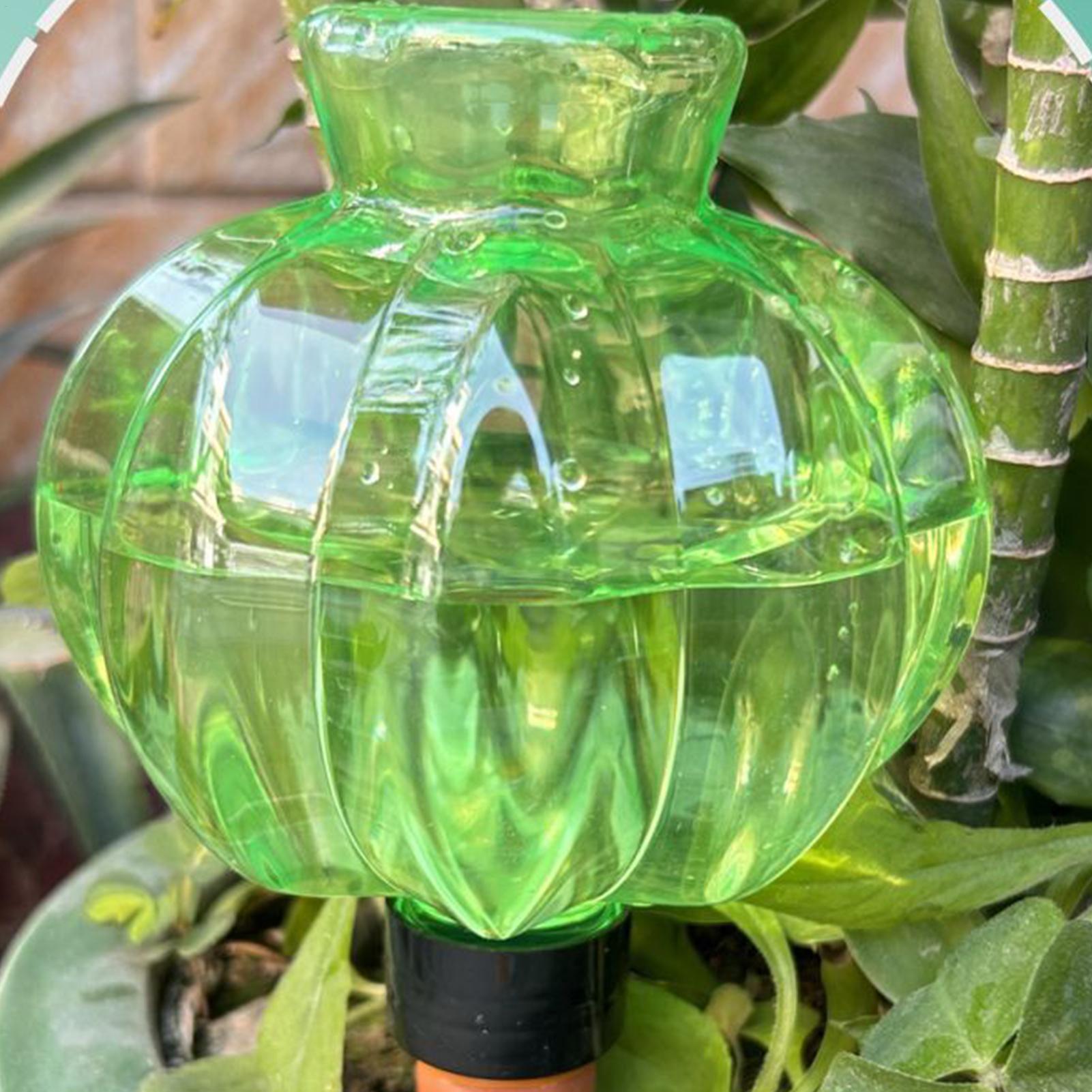 Plant Watering Globes 17Oz Aut - Indoor Plants 评论和价格