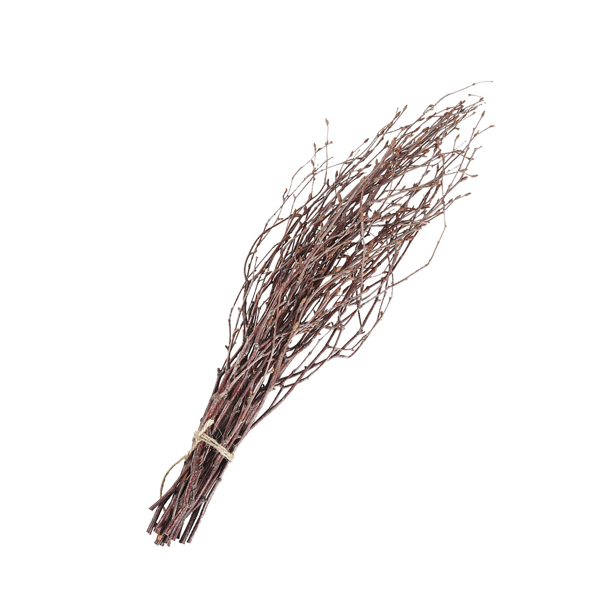 10Pcs Birch Branches Natural D - Snake Plant 评论和价格