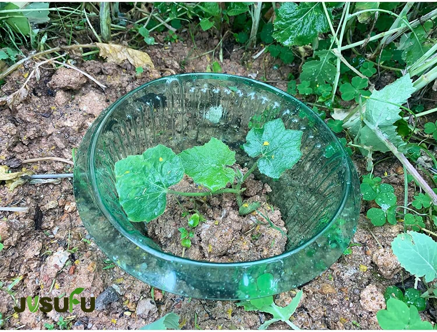 1/30pcs Plants Slug Protection - Terracotta Pot 评论和价格